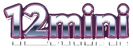 12mini logo